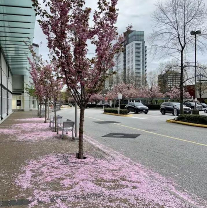 Photo of Outdoor in West Vancouver