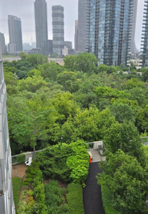 Photo of Others in Humber Bay