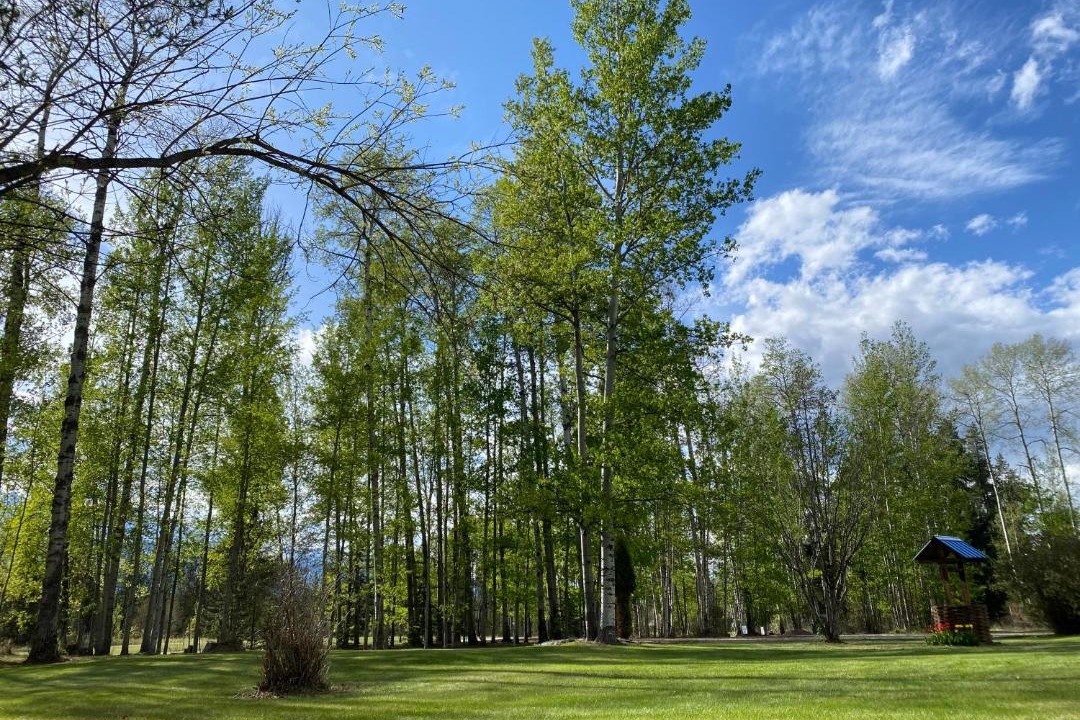 Photo of Outdoor in Valemount