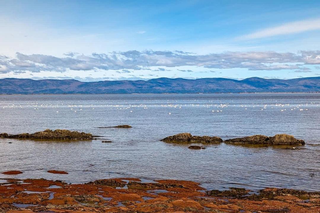 Photo of Others in Cap-Saint-Ignace
