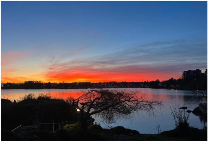 Photo of Others in Esquimalt