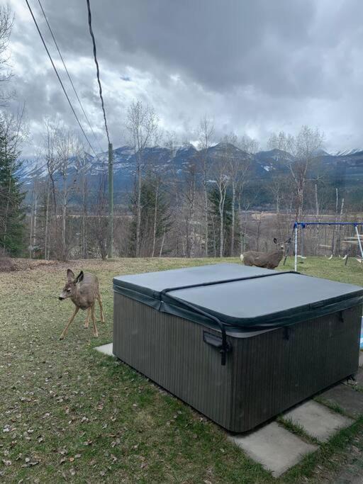 Photo of Others in Golden