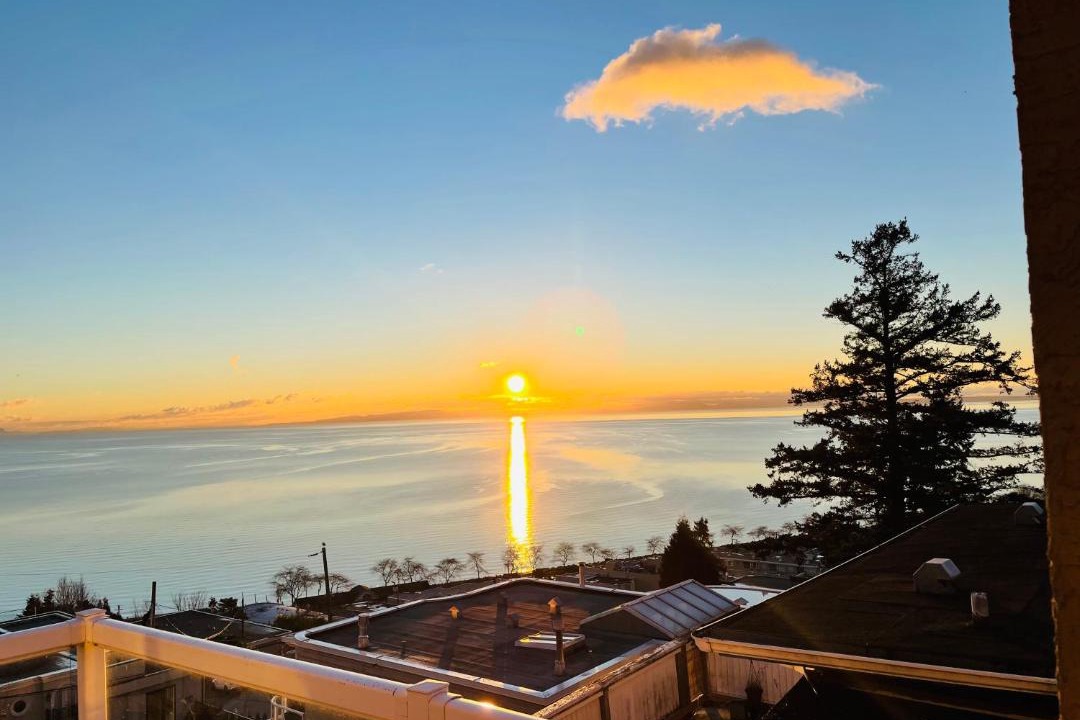 Photo of Others in White Rock