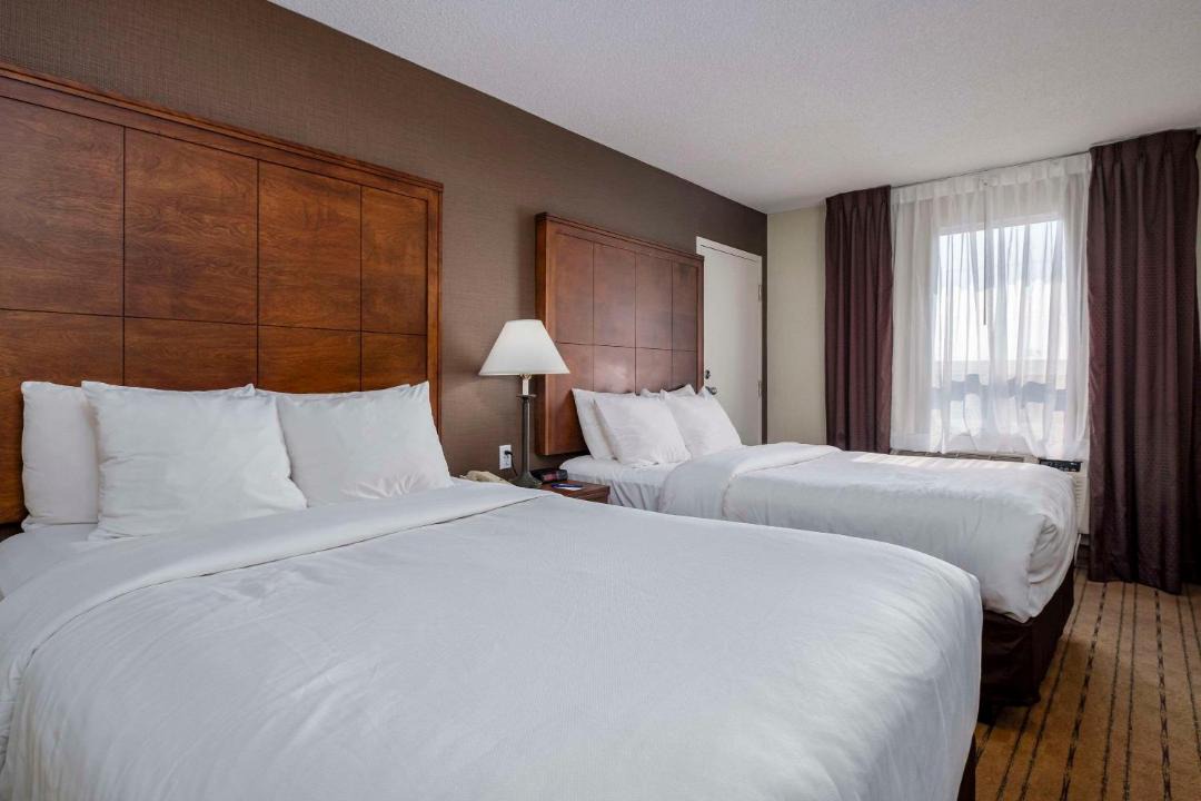Photo of Bedroom in Gander