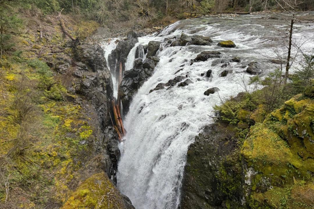 Photo of Others in Regional District of Nanaimo