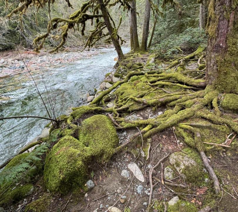 Photo of Others in Regional District of Nanaimo