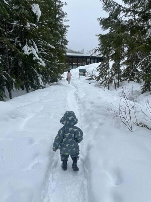 Photo of Others in Nakusp