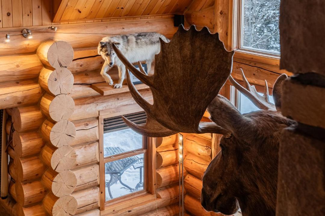 Photo of Others in Fiddler Lake Resort