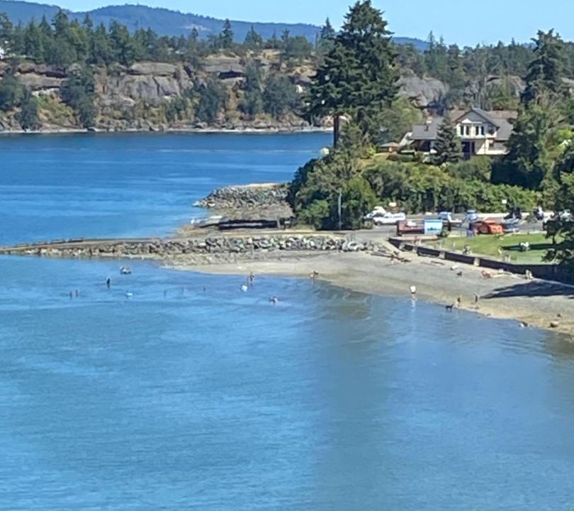 Photo of Others in Chemainus