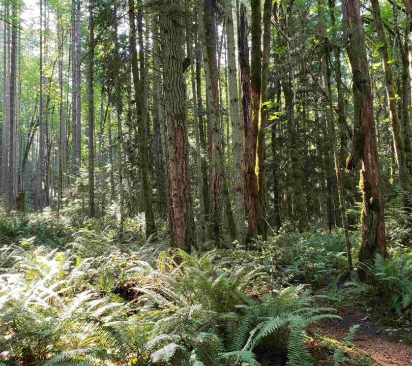 Photo of Others in Regional District of Nanaimo