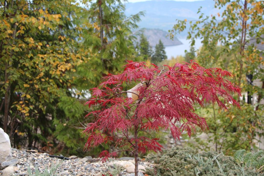 Photo of Outdoor in Blind Bay