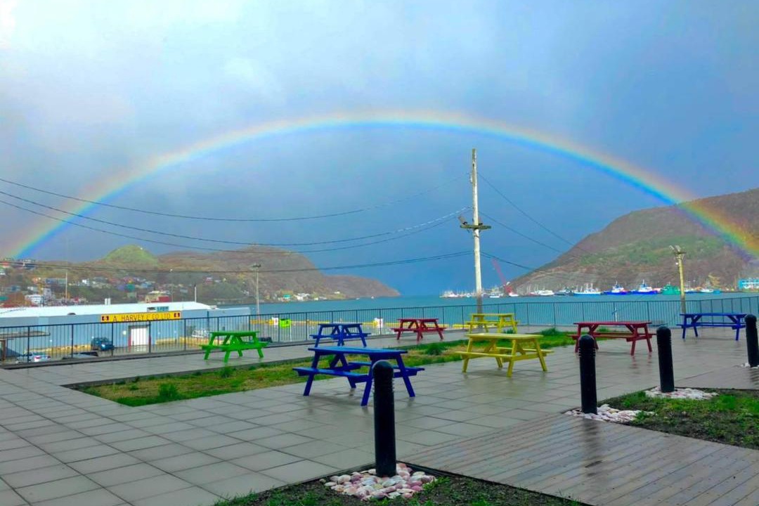 Photo of Others in Downtown St. John's