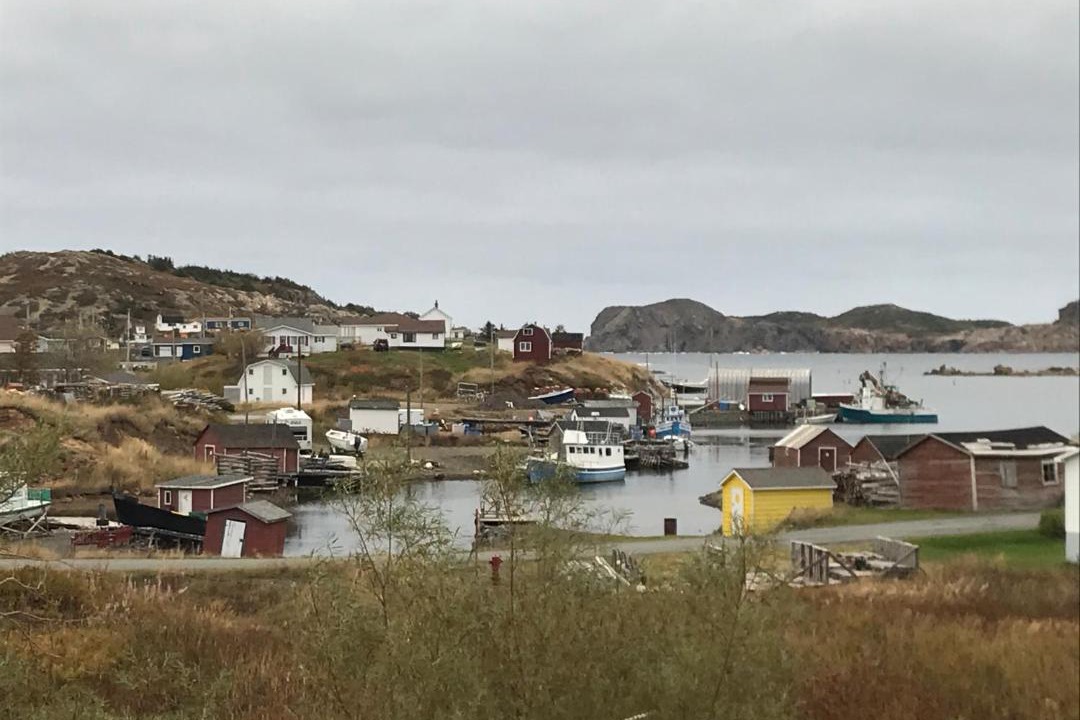 Photo of Buildings in Twillingate