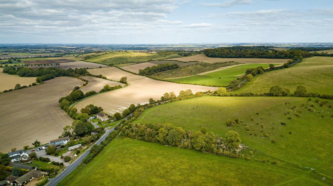 Photo of Others in Pegsdon