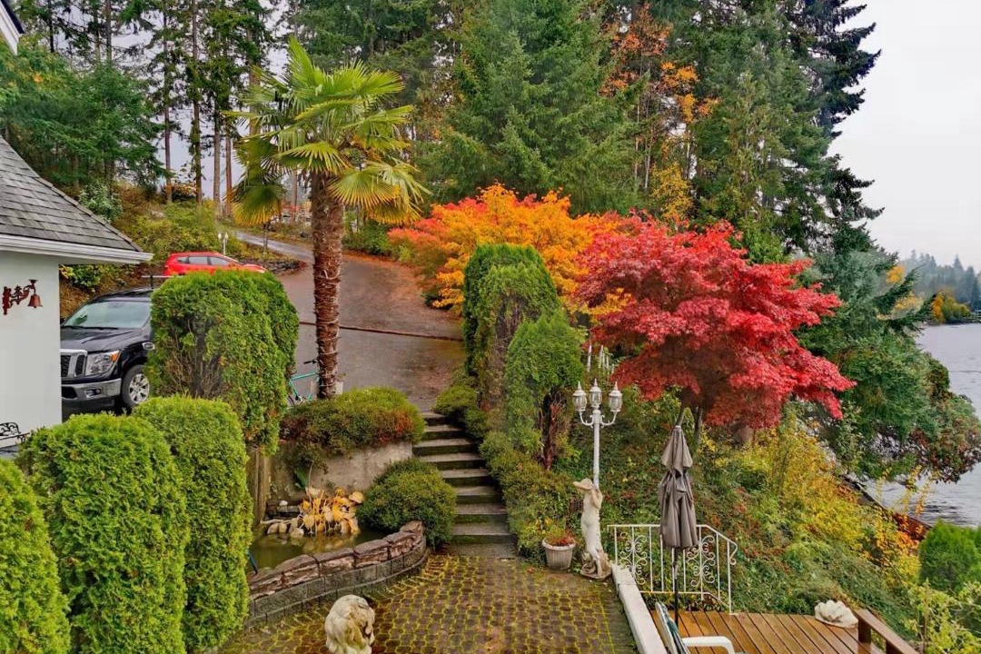 Photo of Others in Chemainus