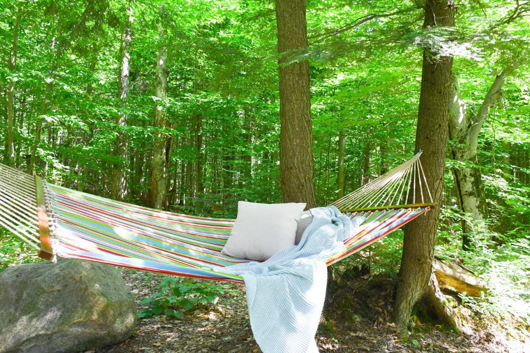 Photo of Others in Sainte-Ann-des-Lacs
