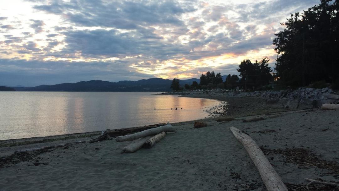 Photo of Others in Davis Bay