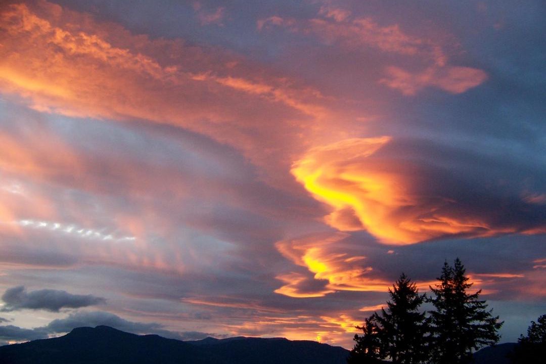 Photo of Others in North Cowichan