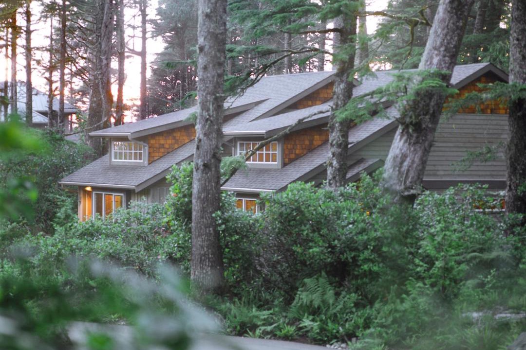 Photo of Others in Tofino