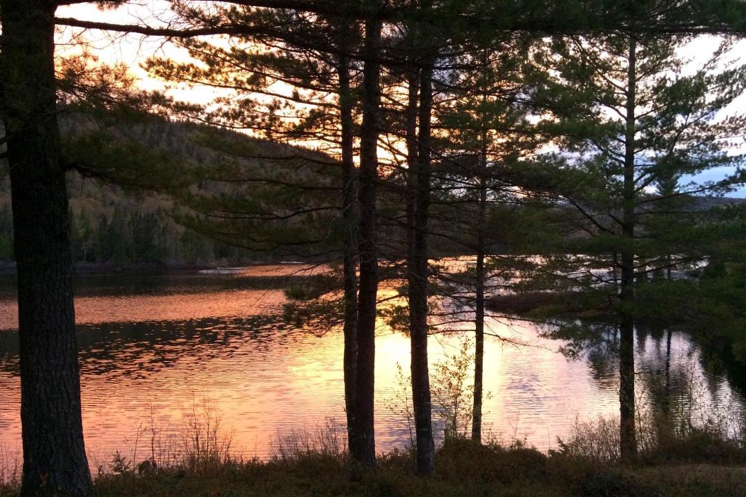 Photo of Others in Tadoussac
