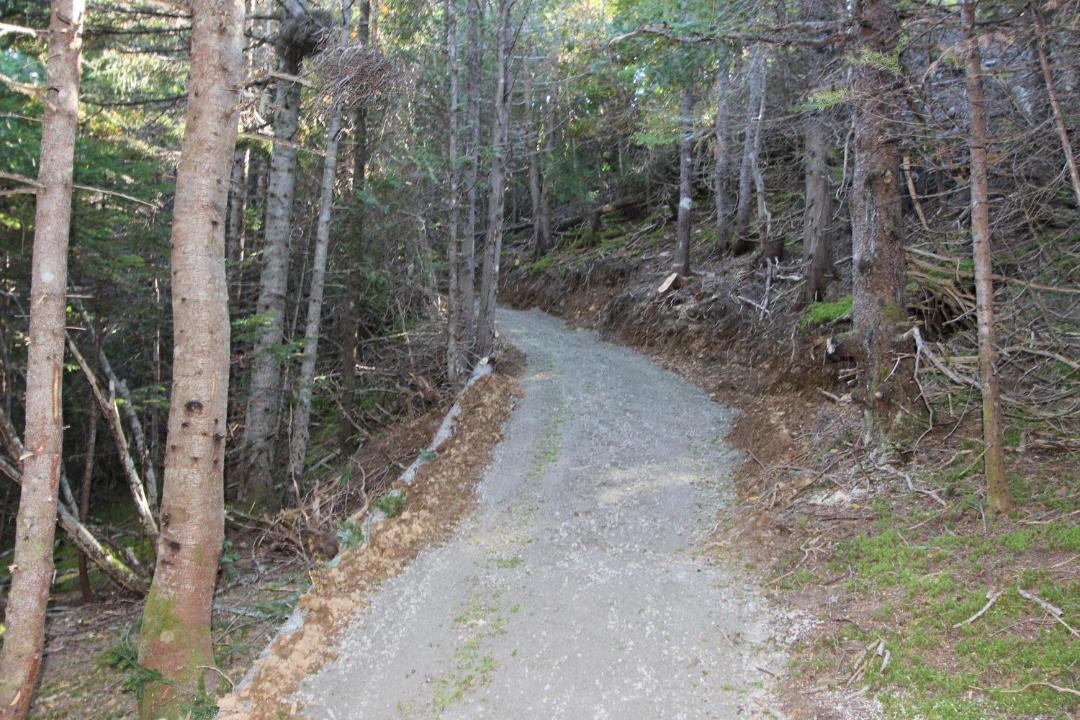 Photo of Others in Perce