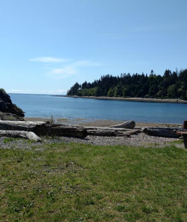 Photo of Others in Halfmoon Bay
