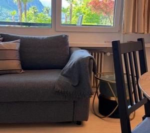 Holidays The Lugano 