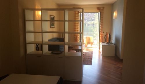 Apartment, 1 Bedroom, Kitchen, Lake View