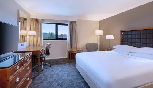 Deluxe Queen Room